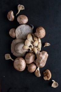 braised mushrooms parmigiano